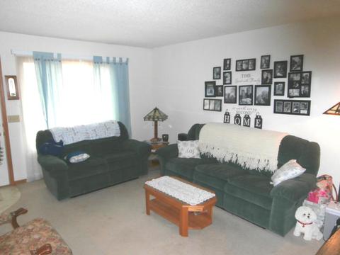127 N Danforth Ave, Red Wing, MN 55066 photo 3