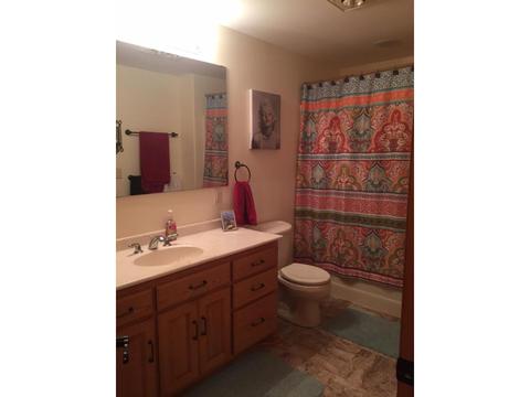 26442 114th St, Grey Eagle, MN 56336 photo 8