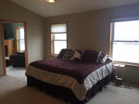 26442 114th St, Grey Eagle, MN 56336 photo 9