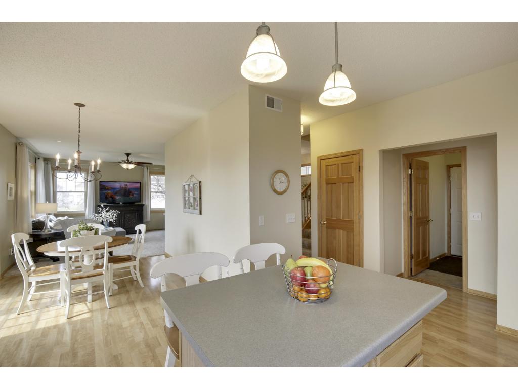14220 Azalea Path, Rosemount, MN 55068 photo 11