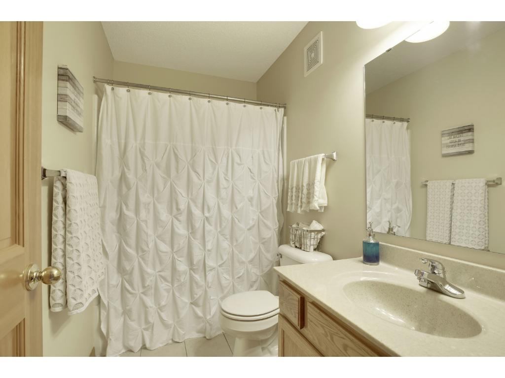 14220 Azalea Path, Rosemount, MN 55068 photo 20