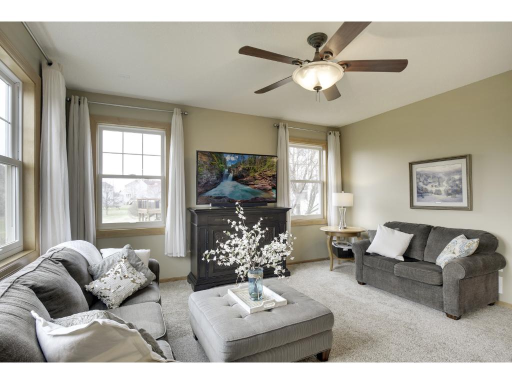 14220 Azalea Path, Rosemount, MN 55068 photo 6
