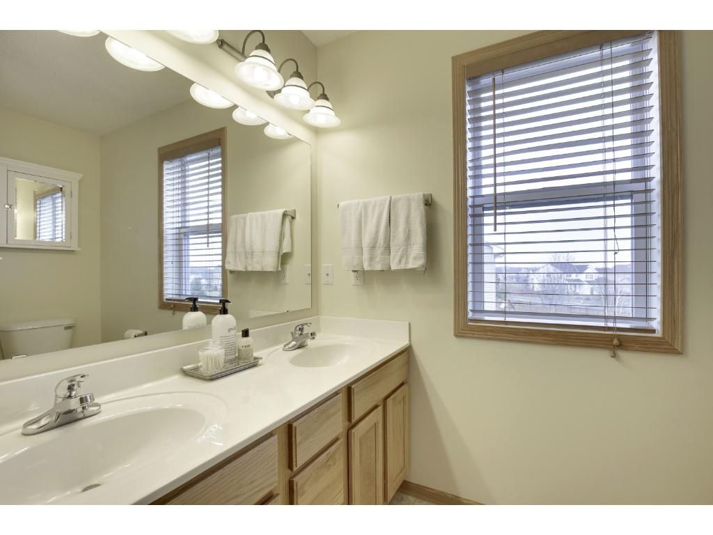 14220 Azalea Path, Rosemount, MN 55068 photo 16