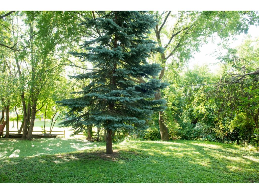 1914 Orange Ave E, Saint Paul, MN 55119 photo 5