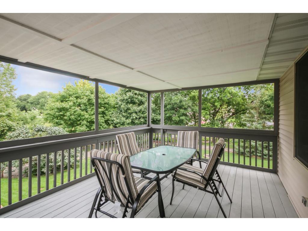 401 Nathan Ln N, Champlin, MN 55316 photo 10