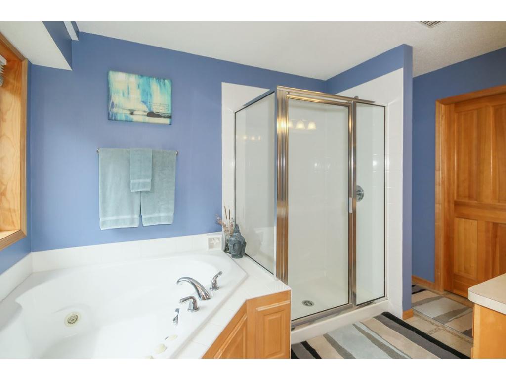 401 Nathan Ln N, Champlin, MN 55316 photo 12