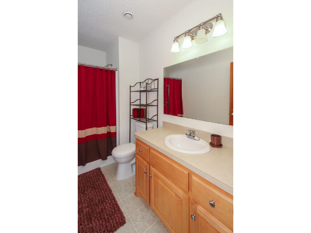 401 Nathan Ln N, Champlin, MN 55316 photo 17