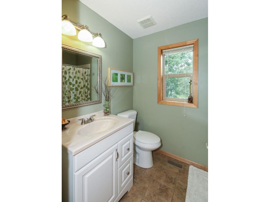 401 Nathan Ln N, Champlin, MN 55316 photo 15