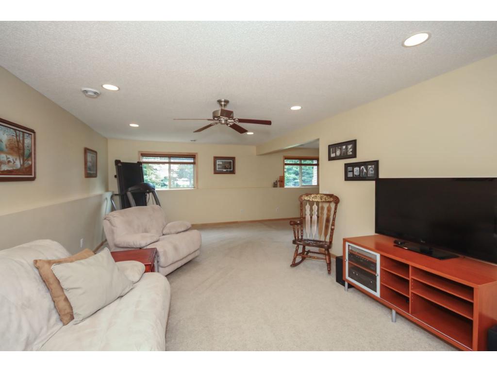 401 Nathan Ln N, Champlin, MN 55316 photo 16