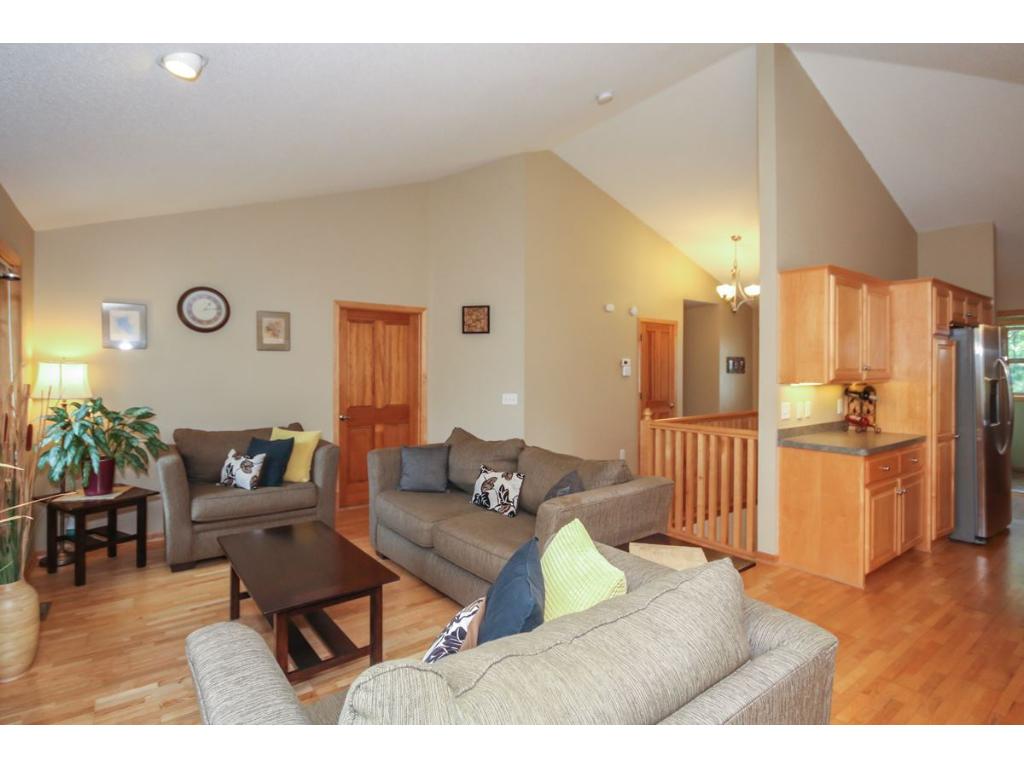 401 Nathan Ln N, Champlin, MN 55316 photo 6
