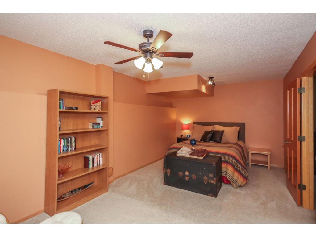 401 Nathan Ln N, Champlin, MN 55316 photo 9