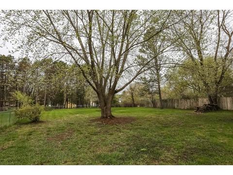 8864 Pascal Ave N, Circle Pines, MN 55014 photo 15