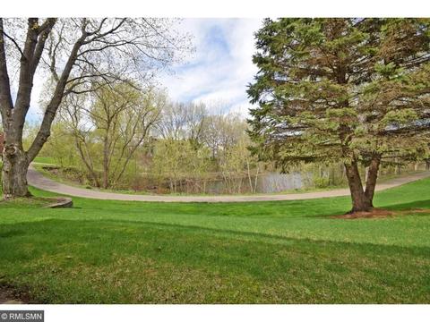 721 Summer Ln, Eagan, MN 55123 photo 23