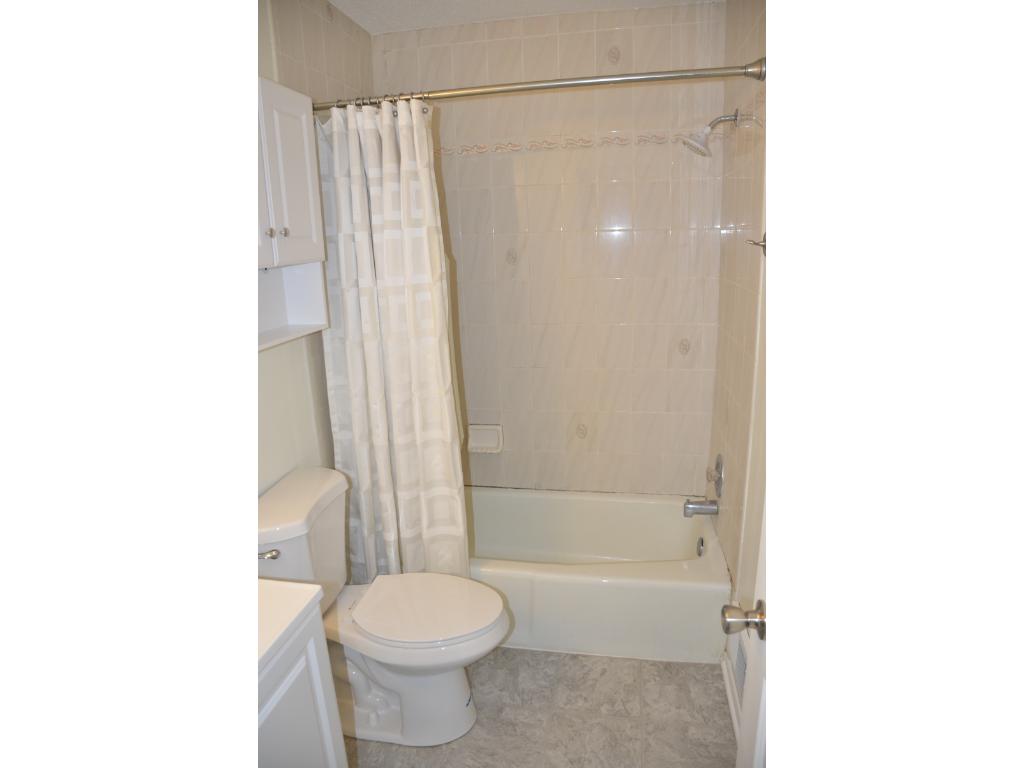 3707 Falcon Way, Eagan, MN 55123 photo 9