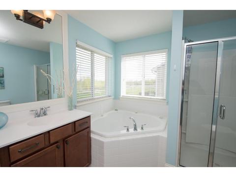18041 Duncan Ct, Farmington, MN 55024 photo 18