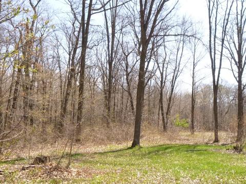 32502 Bugle Rd, Cushing, MN 56443 photo 14
