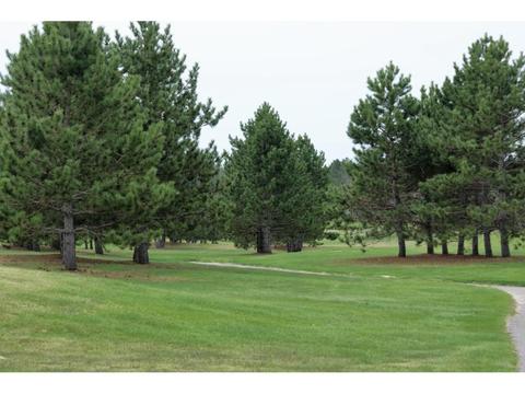 2677 16th St SW, Backus, MN 56435 photo 4