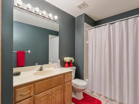 9669 Trillium Ct N, Champlin, MN 55316 photo 21