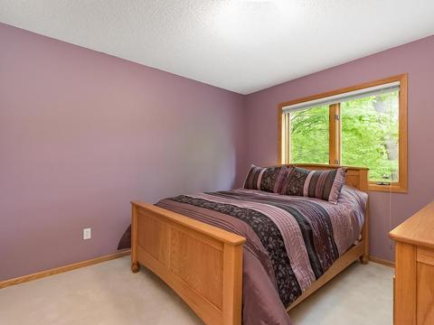 9669 Trillium Ct N, Champlin, MN 55316 photo 19