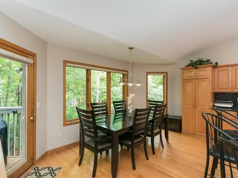 9669 Trillium Ct N, Champlin, MN 55316 photo 8