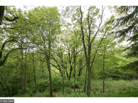 3923 Canter Glen Dr, Eagan, MN 55123 photo 24