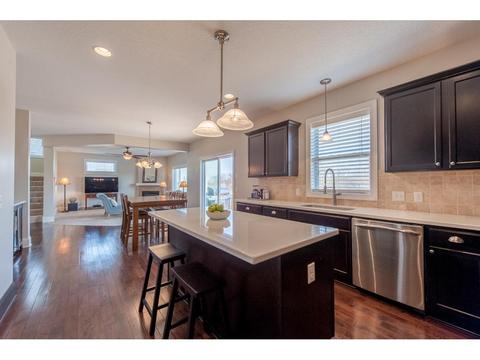 18605 Dulcimer Ct, Farmington, MN 55024 photo 3