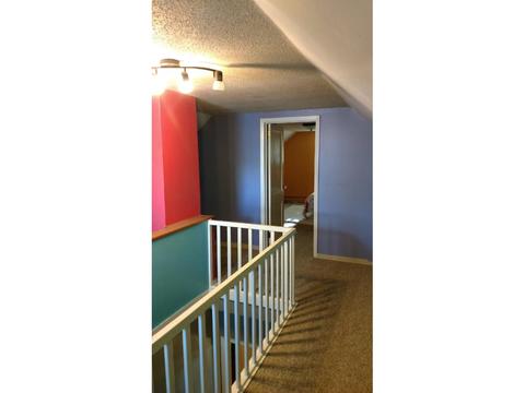 130 Douglas Ave E, Hector, MN 55342 photo 3