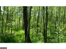 19185 Hunter Dr, Brainerd, MN 56401 photo 15