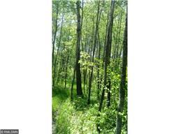 19185 Hunter Dr, Brainerd, MN 56401 photo 14