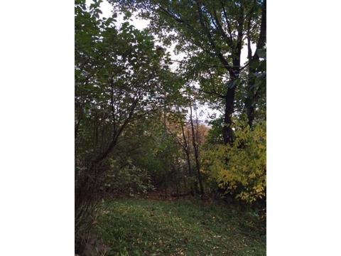624 W 3rd St, Duluth, MN 55806 photo 3