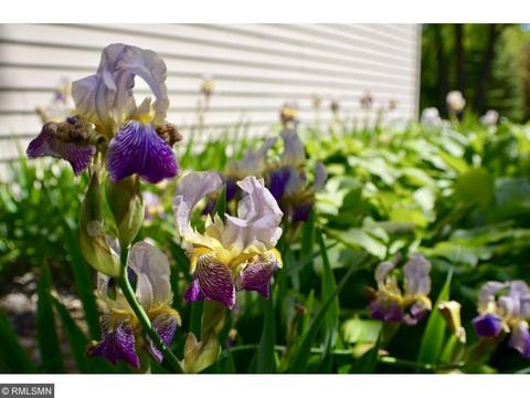 335 Spring St, Clearwater, MN 55320 photo 7