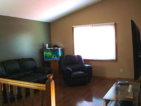 3691 Falcon Way, Eagan, MN 55123 photo 7