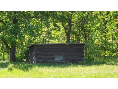 33923 124th Ave, Avon, MN 56310 photo 14