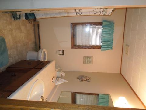 33923 124th Ave, Avon, MN 56310 photo 11