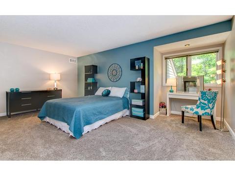 3688 Widgeon Way, Eagan, MN 55123 photo 8