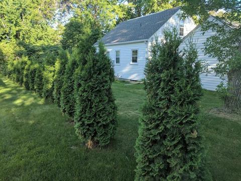 420 E 104th St, Bloomington, MN 55420 photo 24