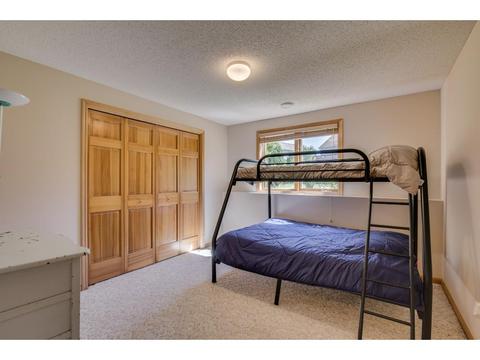 9464 White Oaks Ct, Champlin, MN 55316 photo 23