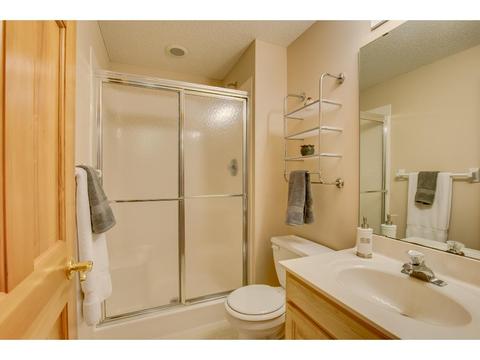 9464 White Oaks Ct, Champlin, MN 55316 photo 24