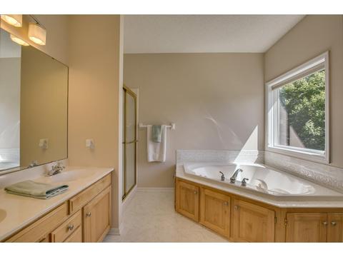 9464 White Oaks Ct, Champlin, MN 55316 photo 16