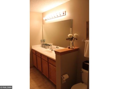 13623 Brick Path, Rosemount, MN 55068 photo 12