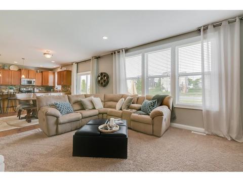 1619 Aspen Dr, Carver, MN 55315 photo 12