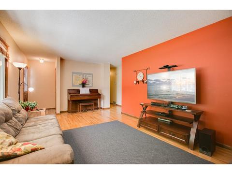3876 Palisade Way, Eagan, MN 55122 photo 5
