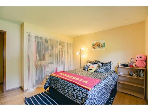 3876 Palisade Way, Eagan, MN 55122 photo 14