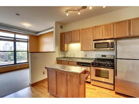 15 E Franklin Ave #408, Minneapolis, MN 55404 photo 2