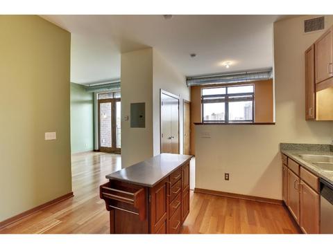 15 E Franklin Ave #408, Minneapolis, MN 55404 photo 5