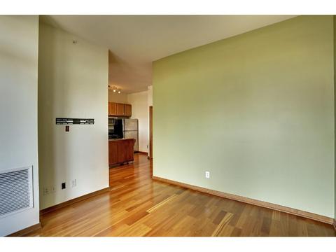 15 E Franklin Ave #408, Minneapolis, MN 55404 photo 13