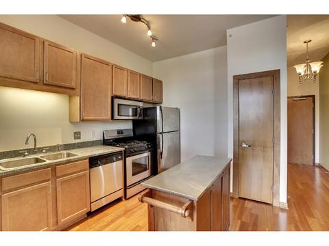 15 E Franklin Ave #408, Minneapolis, MN 55404 photo 4