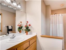 9150 Overlook Ln, Champlin, MN 55316 photo 19
