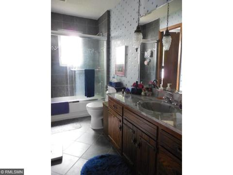 65631 216th St, Darwin, MN 55324 photo 19