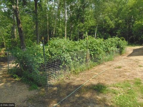 10558 County 22, Eagle Bend, MN 56446 photo 6